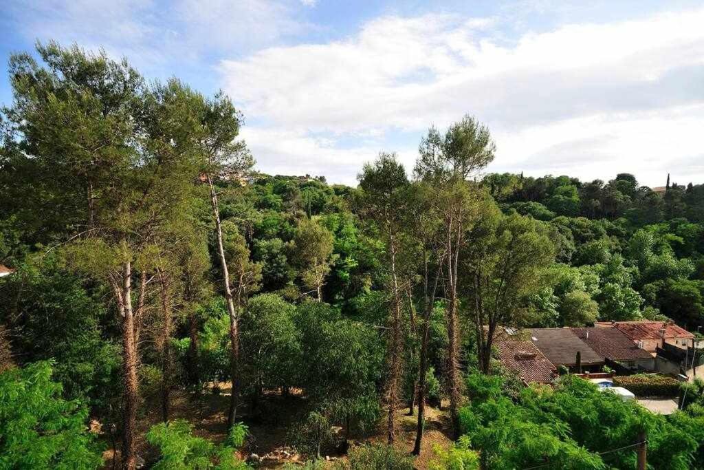 Apartamento Con Increibles Vistas Y Terraza Gerona Buitenkant foto